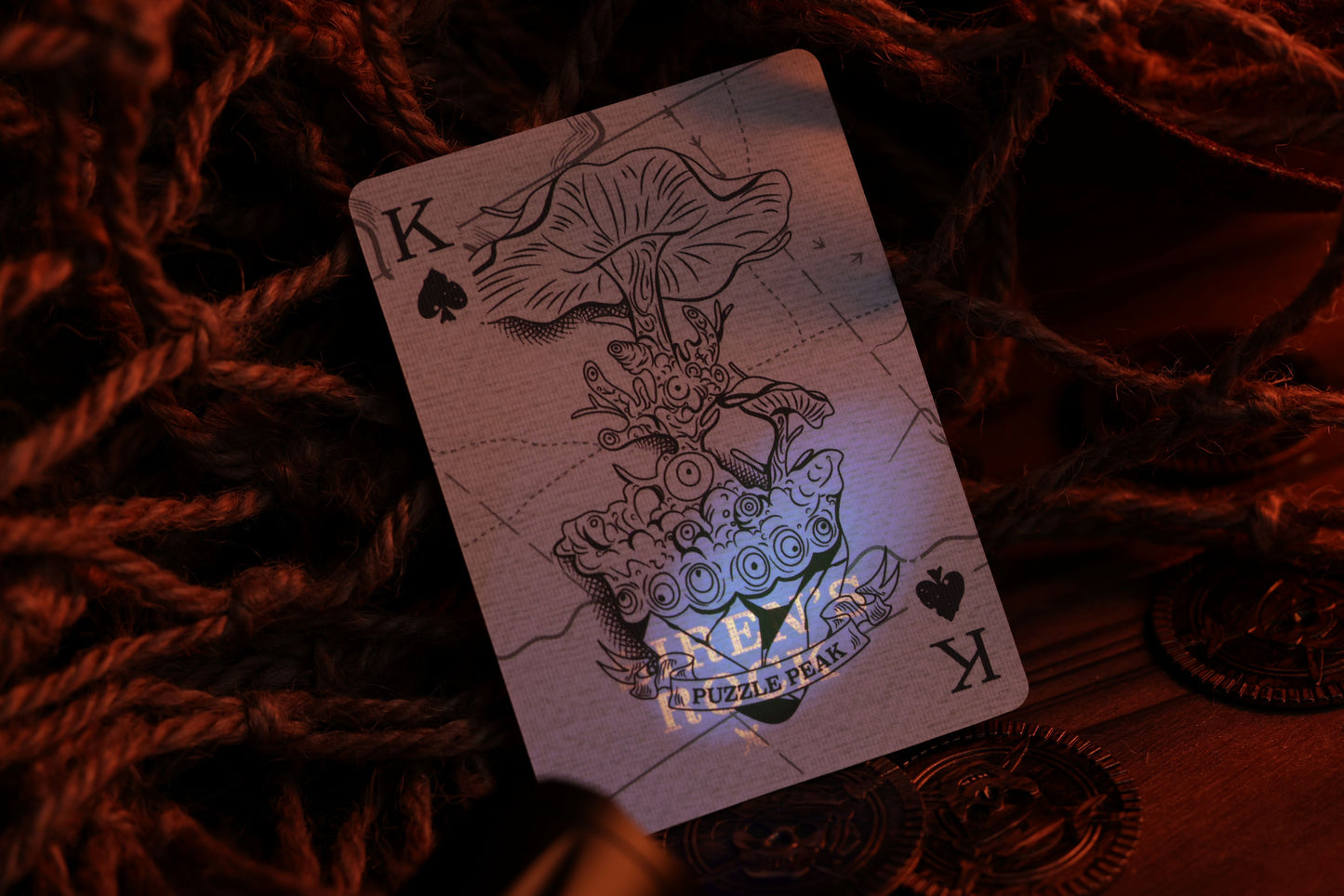 The Trial of Blackbeard Playing Cards | PLUNDERER Collector Set