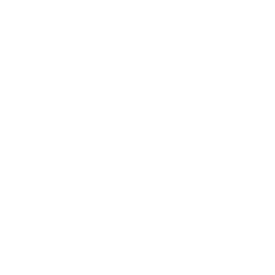 2nd Anniversary Collection