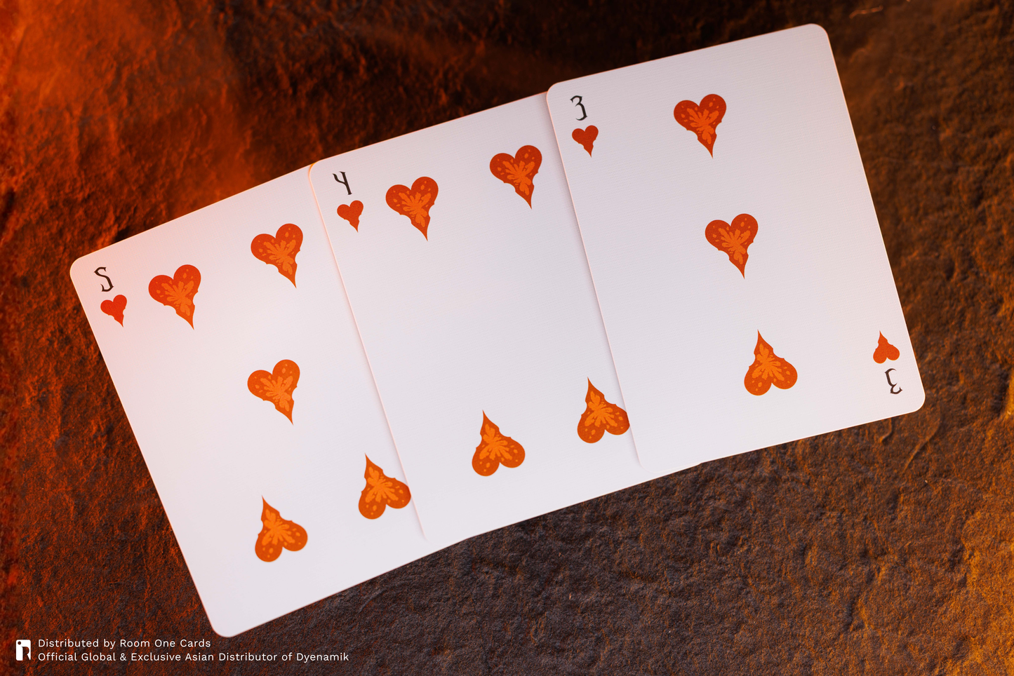 Bloodborne Playing Cards - Collectors Edition